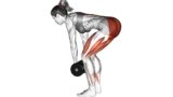 The Best Leg Exercises with Dumbbell For Women